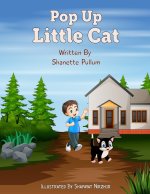 Pop Up Little Cat