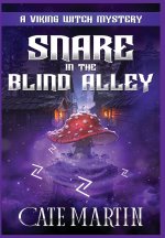 Snare in the Blind Alley