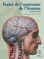 Traité de l'anatomie de l’homme T3 planches