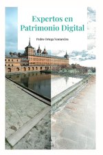 Expertos en Patrimonio Digital