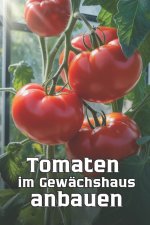 Tomaten im Gewächshaus anbauen