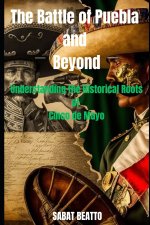 Battle of Puebla and Beyond