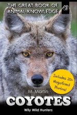 Coyotes