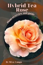 Hybrid Tea Rose