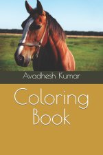 Coloring Book