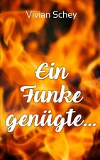 Ein Funke genügte ...