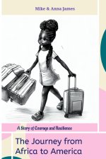 The Journey from Africa to America