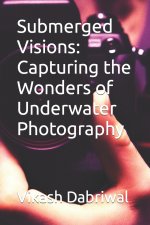 Submerged Visions