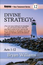 Divine Strategy