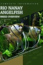 Rio Nanay Angelfish