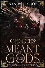 Choices Meant for Gods
