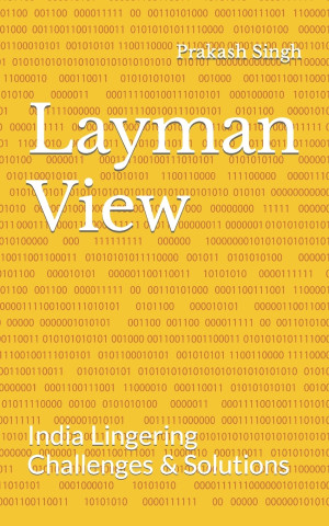 Layman View