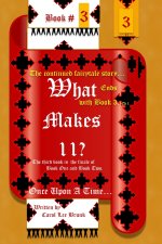 What makes 11? Once Upon A Time... Book 3
