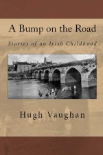 A Bump on the Road