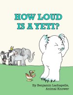 HOW LOUD IS A YETI?