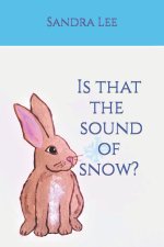 Is that the sound of snow?