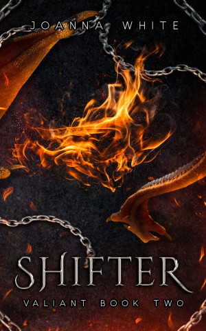 Shifter