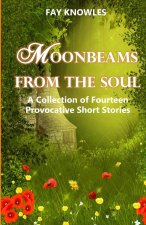 MOONBEAMS FROM THE SOUL