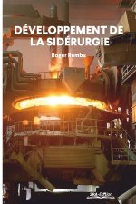 Développement de la sidérurgie