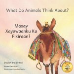 What Do Animals Think About?