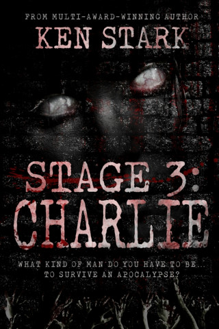 Stage 3