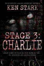 Stage 3