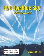 Bye Bye Blue Sky Illustrated