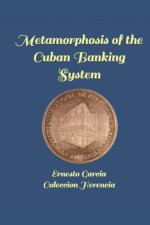 Metamorphosis of a Banking System