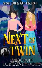 Next of Twin