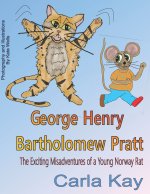 George Henry Bartholomew Pratt