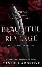 Beautiful Revenge