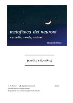 Metafisica dei neuroni