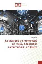 La pratique du numérique en milieu hospitalier camerounais