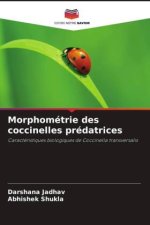 Morphométrie des coccinelles prédatrices