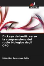 Dickeya dadantii