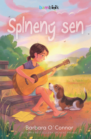 Splnený sen