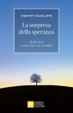 Sorpresi dalla speranza. Meditazioni su una Chiesa in cammino