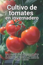 Cultivo de tomates en invernadero