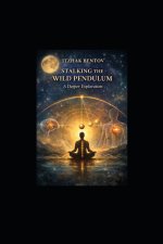 Itzhak Bentovs Stalking The Wild Pendulum