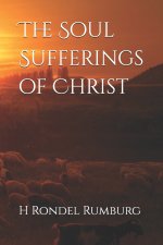 The Soul Sufferings of Christ