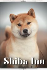 Shiba Inu