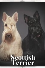Scottish Terrier