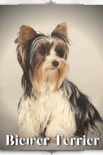 Biewer Terrier
