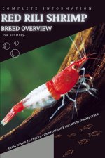 Red Rili Shrimp