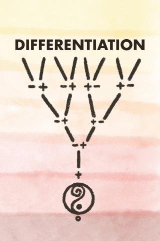 DIFFERENTIATION