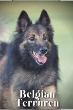 Belgian Tervuren