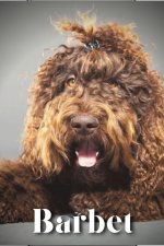Barbet
