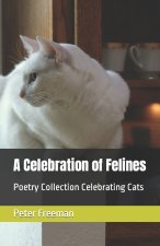 A Celebration of Felines