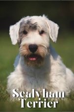 Sealyham Terrier