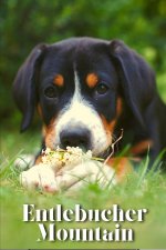 Entlebucher Mountain